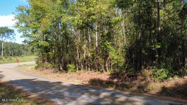 5464a Pecan Orchard Road - Photo 1