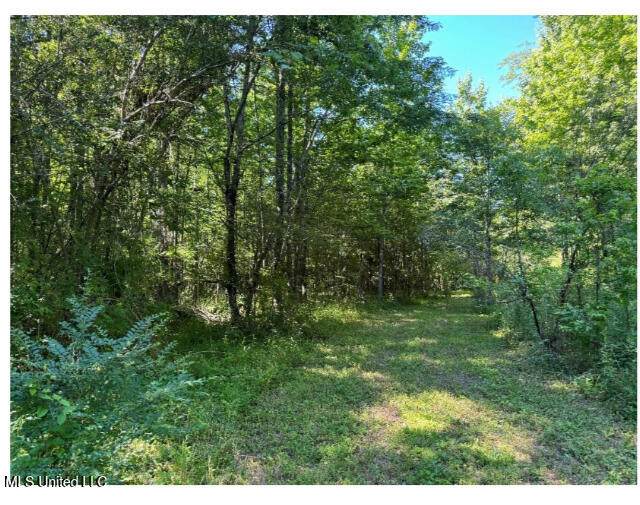 3605 Byhalia Road - Photo 1