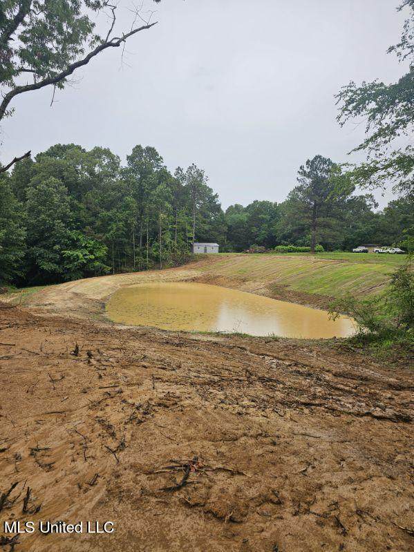 10756 Honey Ridge Drive - Photo 1