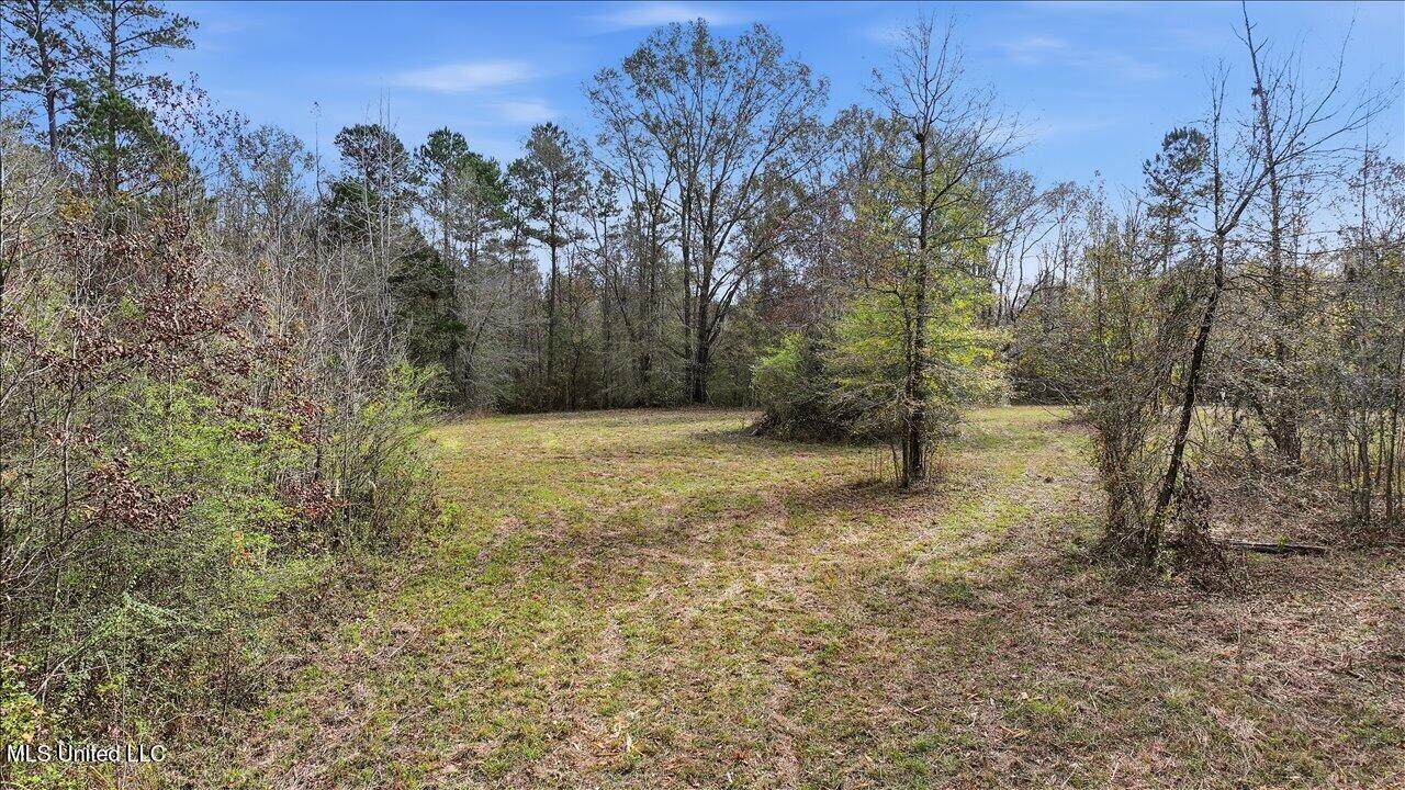  Highland Drive Drive - Photo 1
