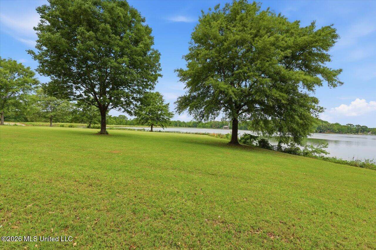 Lot 1 Sanctuary Circle - Photo 1