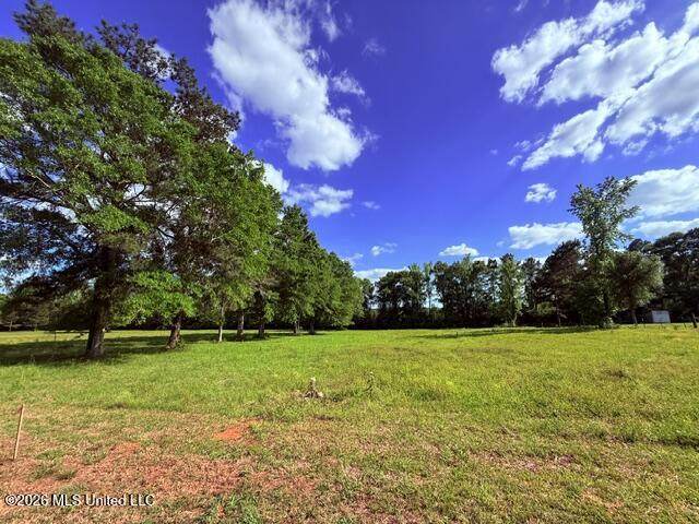  Joby Magee Road - Photo 1