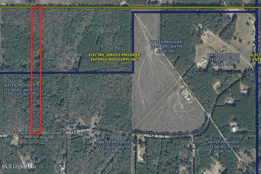 0000 Holly Bush Road - Photo 1