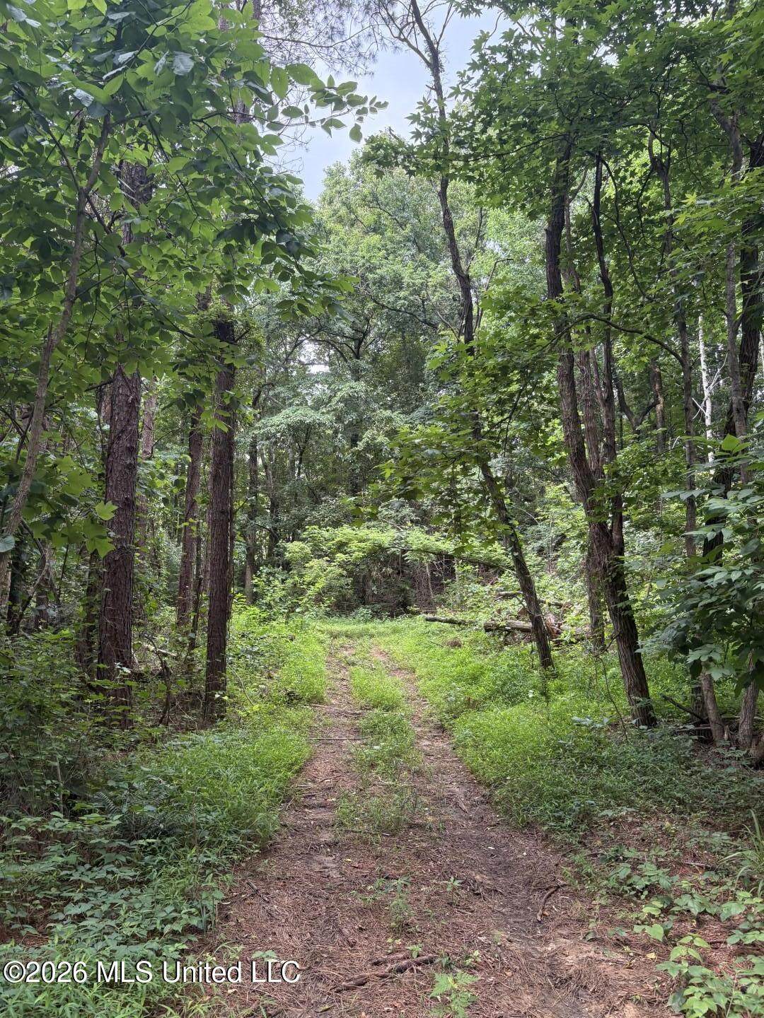 https://bt-photos.global.ssl.fastly.net/united/orig_boomver_2_4144695-2.jpg