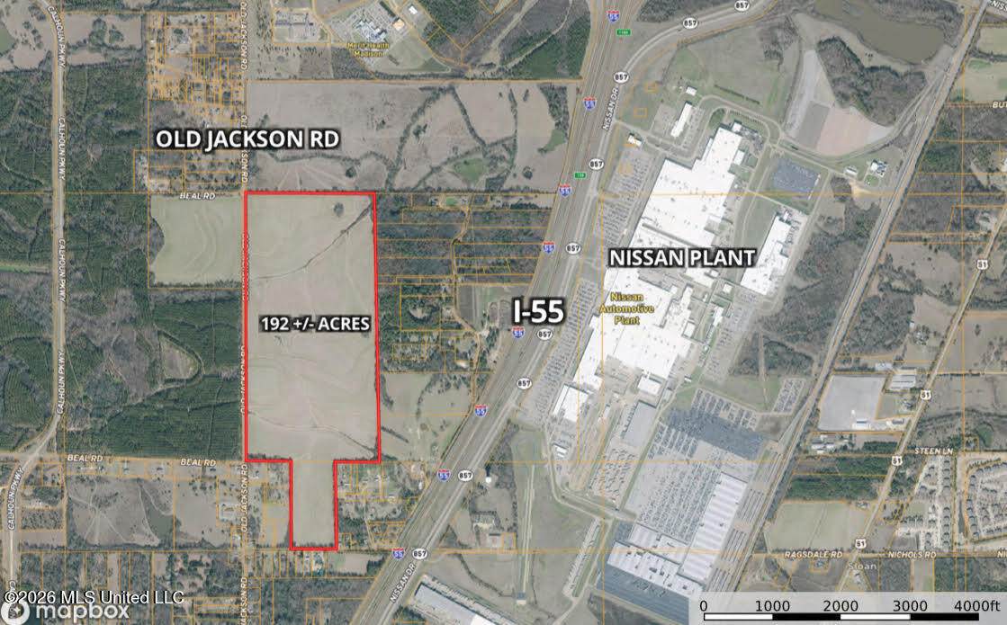  Old Jackson Road - Photo 1