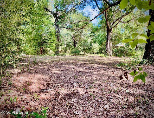 2718 Brumbaugh Road - Photo 1