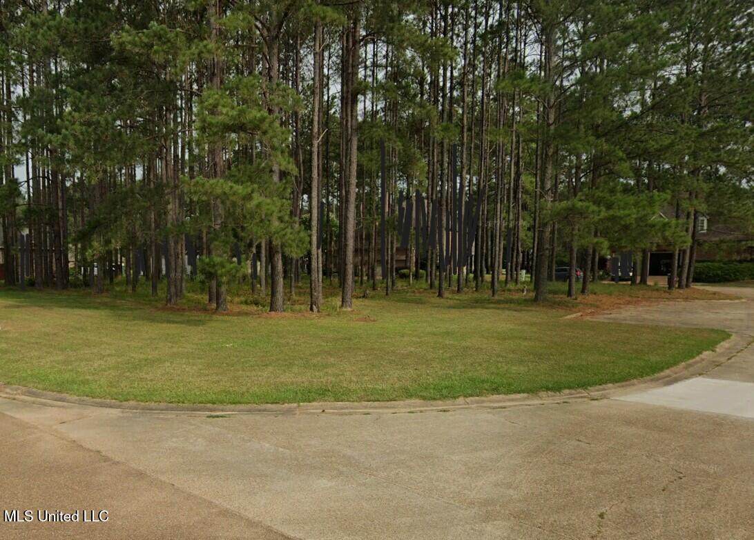 Lots 2&3 Club Drive - Photo 1