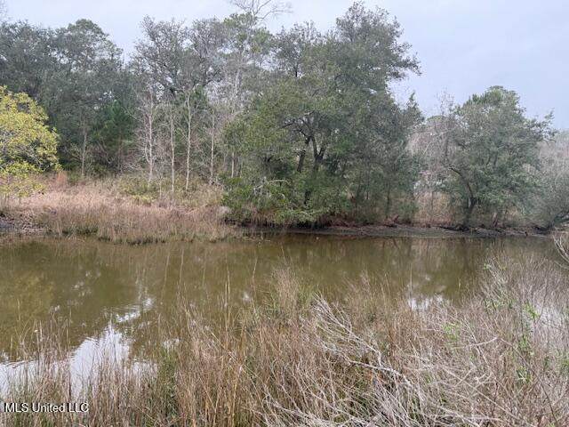  Robert Hiram Drive - Photo 1