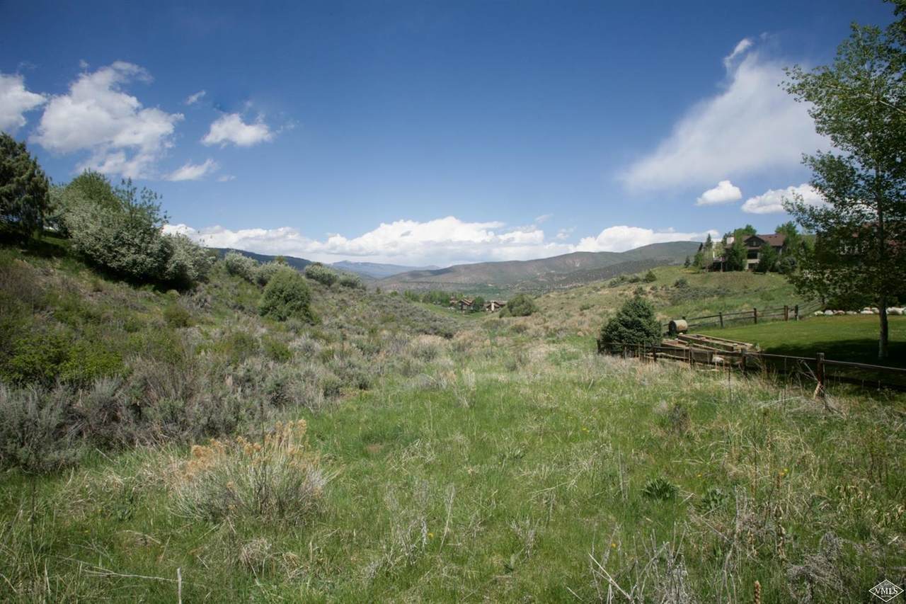 237 Remington Trail - Photo 1
