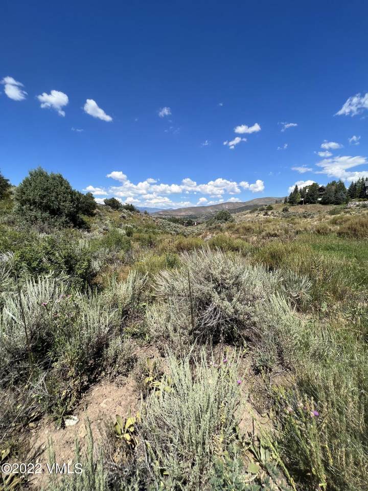 237 Remington Trail - Photo 1