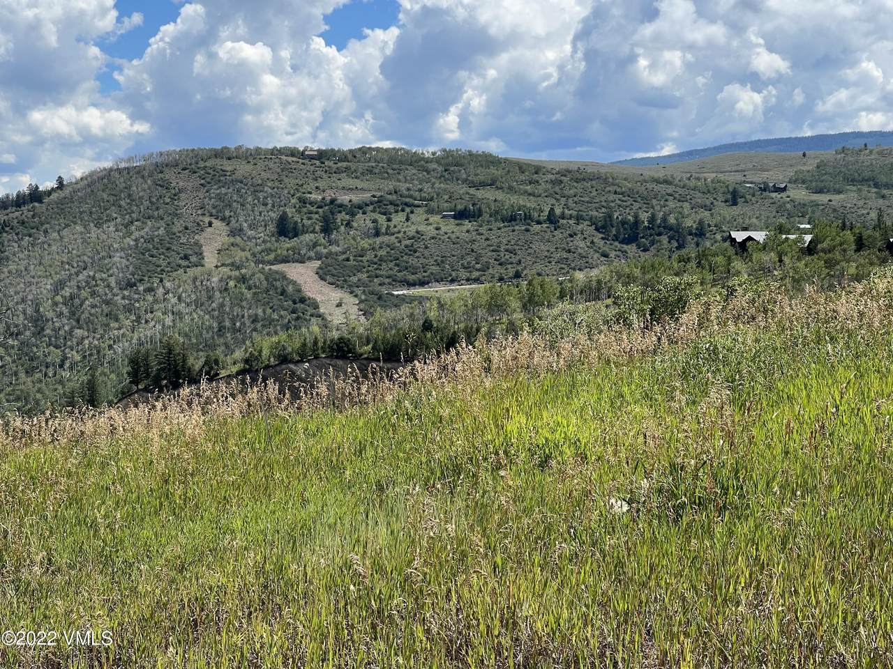2 Stag Gulch Court - Photo 1