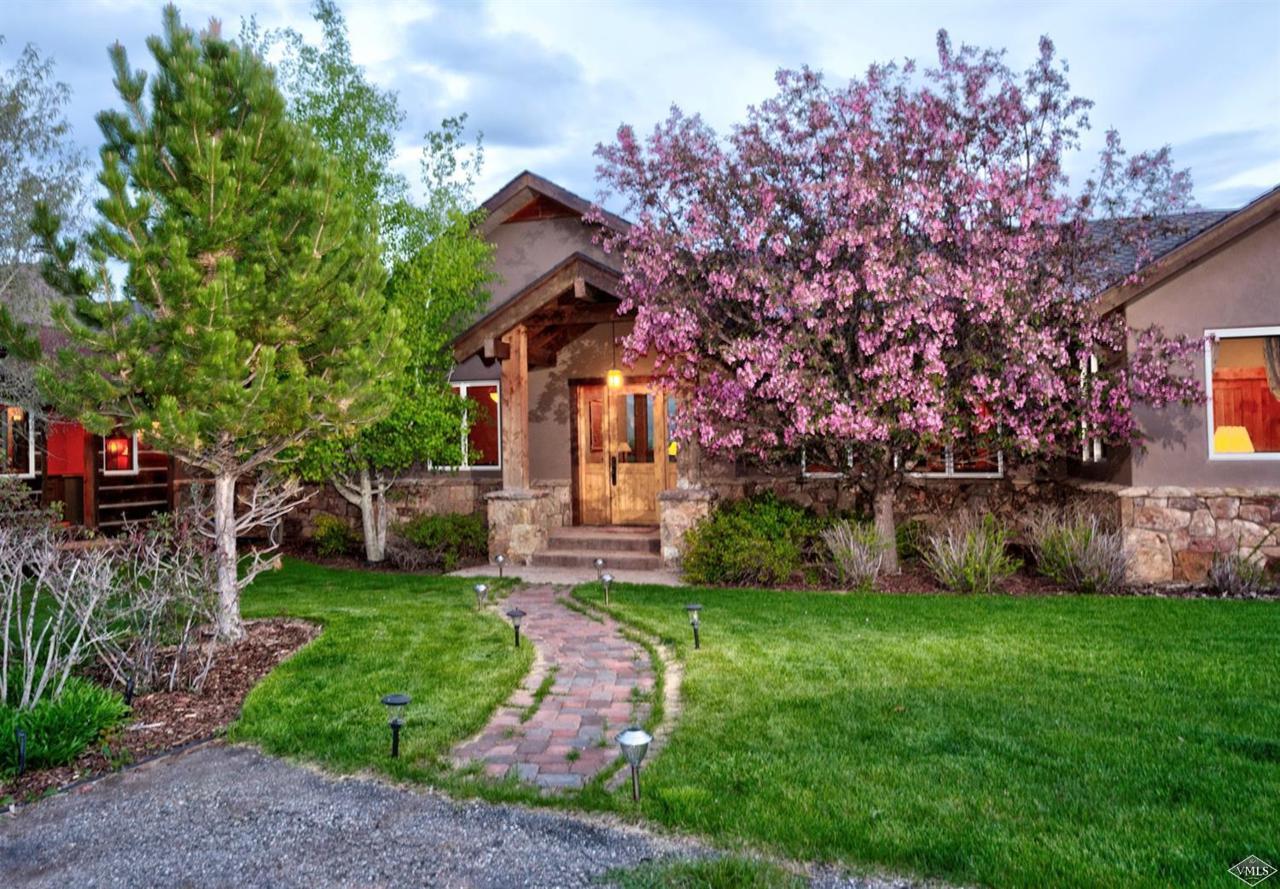 1055 Cottonwood Pass Road - Photo 1