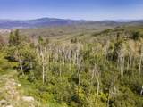 907 Webb Peak - Photo 13
