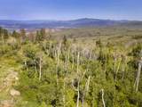 907 Webb Peak - Photo 14