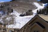 46 Red Spruce Lane - Photo 80