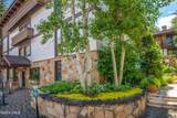 384 Gore Creek - Photo 21