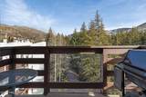 452 Lionshead Circle - Photo 11