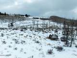 410 Gore Trail - Photo 11