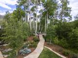 53 Hargrove Way - Photo 39