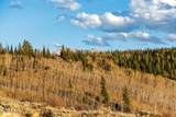 1334 Gore Trail - Photo 22