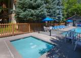 2105 Crazy Horse Circle - Photo 37