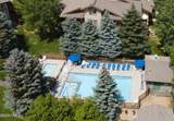 2105 Crazy Horse Circle - Photo 39