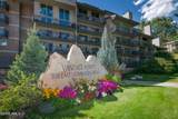 508 Lionshead - Photo 25