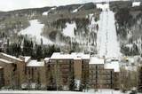 508 Lionshead - Photo 26