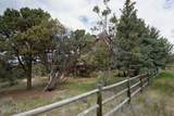 752 Mesa Drive - Photo 13