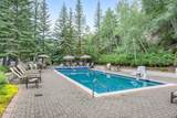 311 Offerson Road - Photo 23