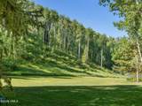 1616 Buffehr Creek Road - Photo 21