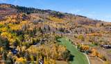 320 Elk Spring Trail - Photo 7