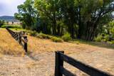 1633 Diamond Star Road - Photo 15