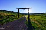 1633 Diamond Star Road - Photo 4