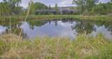 TBD Brush Creek Stables Ranch - Photo 13