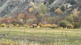 TBD Brush Creek Stables Ranch - Photo 5