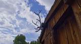 TBD Brush Creek Stables Ranch - Photo 9