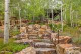 10 Borders Road - Photo 25