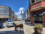 225 Main Street - Photo 13