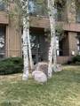 1081 Vail View Drive - Photo 5