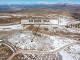 624 Gore Trail - Photo 4