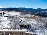 624 Gore Trail - Photo 5