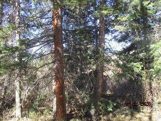 0 Mill Street - Photo 1