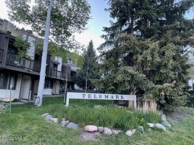 1090 Vail View - Photo 1