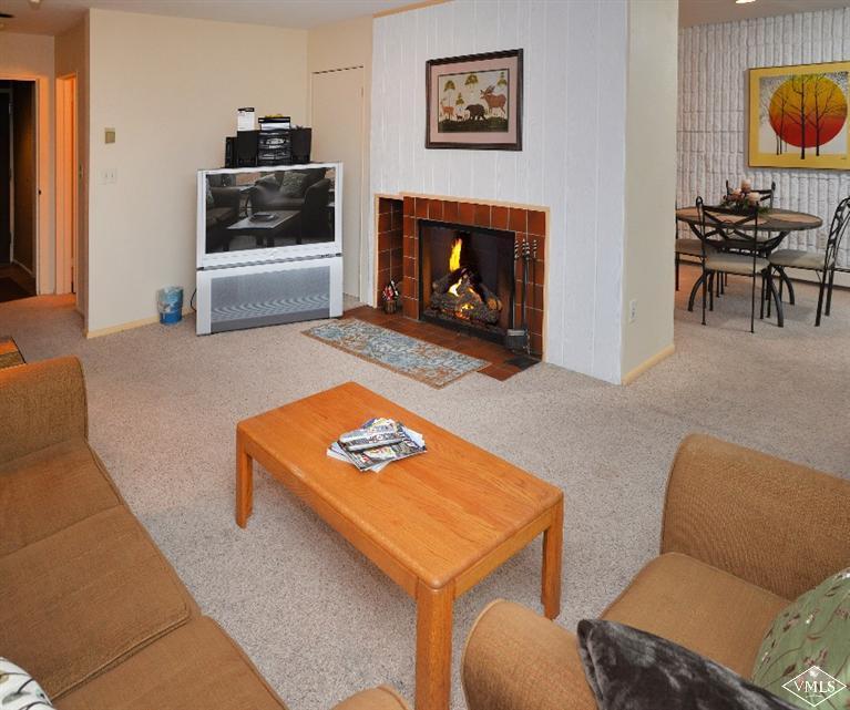 521 Lionshead Circle - Photo 1