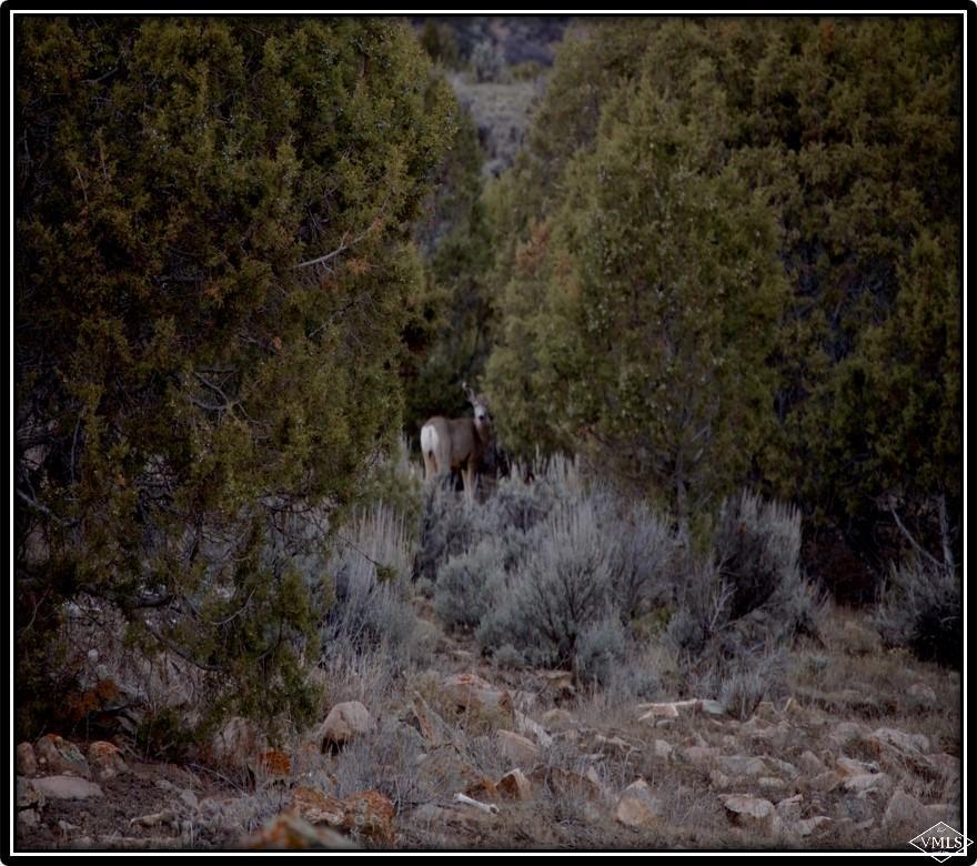 2742 Sweetwater Road - Photo 1