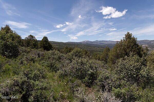 8 Wolcott Springs - Photo 1