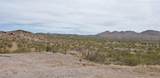 MS 1990 Cottonwood Cove Road - Photo 4