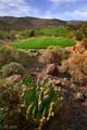 507 Rock Peak Drive - Photo 13