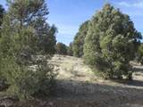  Nevada Hwy 322 (13.753 Ac) - Photo 1